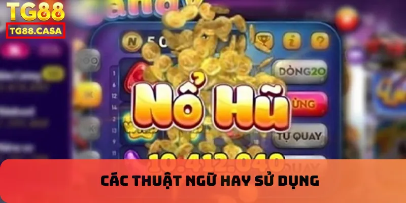 Các thuật ngữ hay sử dụng