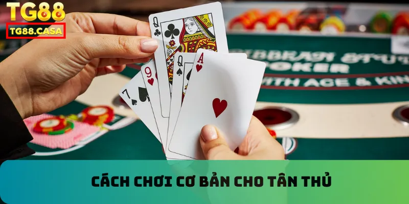 Cách chơi cơ bản cho tân thủ
