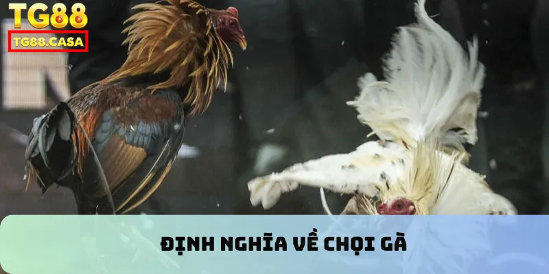 Định nghĩa về chọi gà