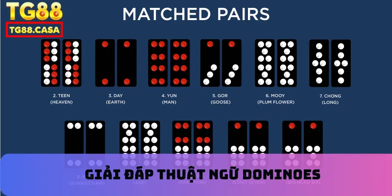 Giải đáp thuật ngữ Dominoes