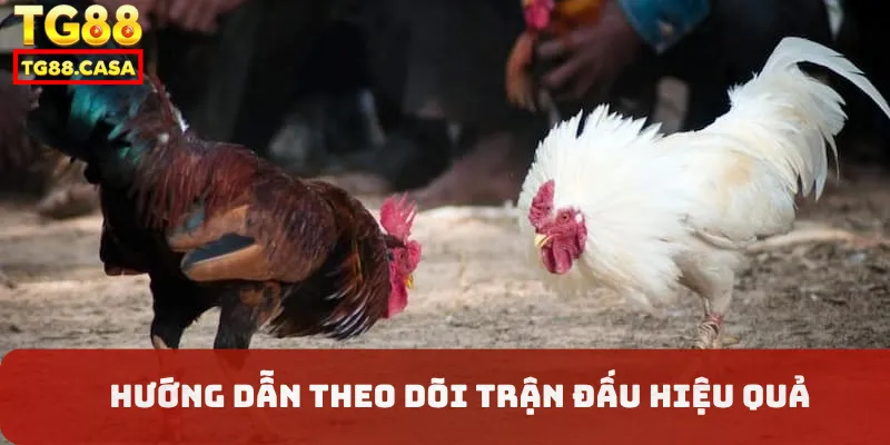 Hướng dẫn theo dõi trận đấu hiệu quả