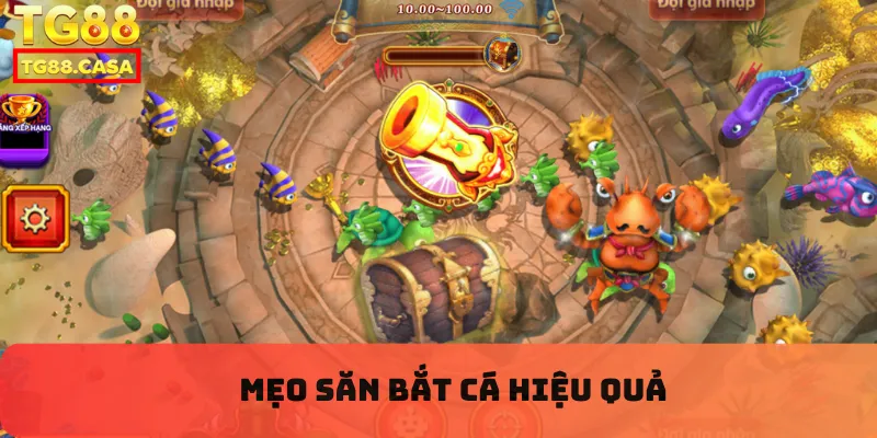 Mẹo săn bắt cá hiệu quả