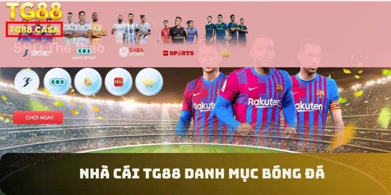 Nhà cái TG88 danh mục bóng đá