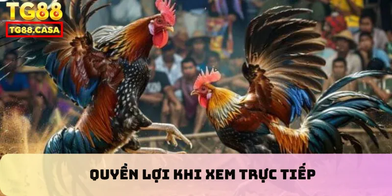 Quyền lợi khi xem trực tiếp