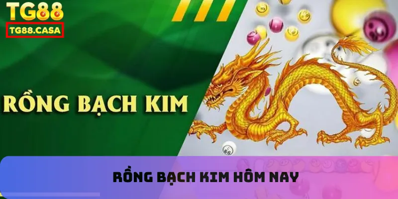 Rồng Bạch Kim hôm nay