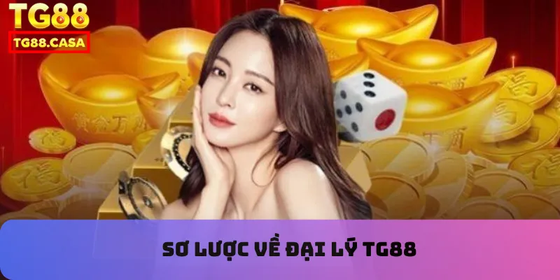 Sơ lược về đại lý TG88