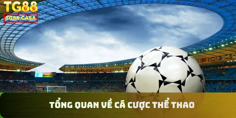 Tổng quan về cá cược thể thao