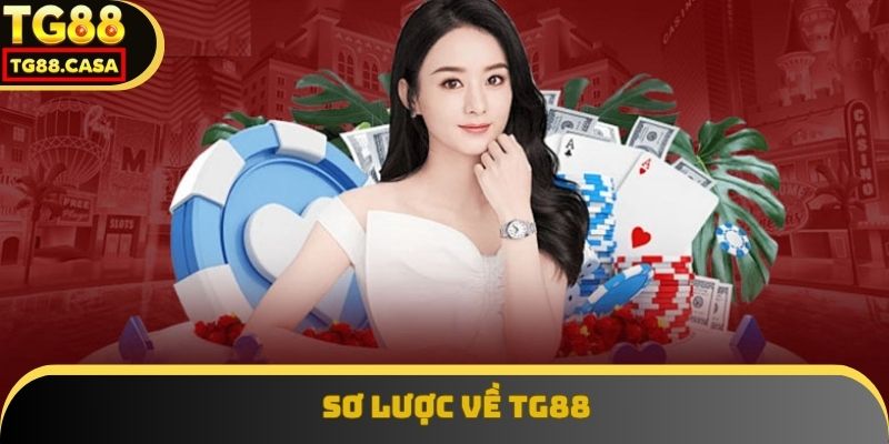 Sơ lược về TG88